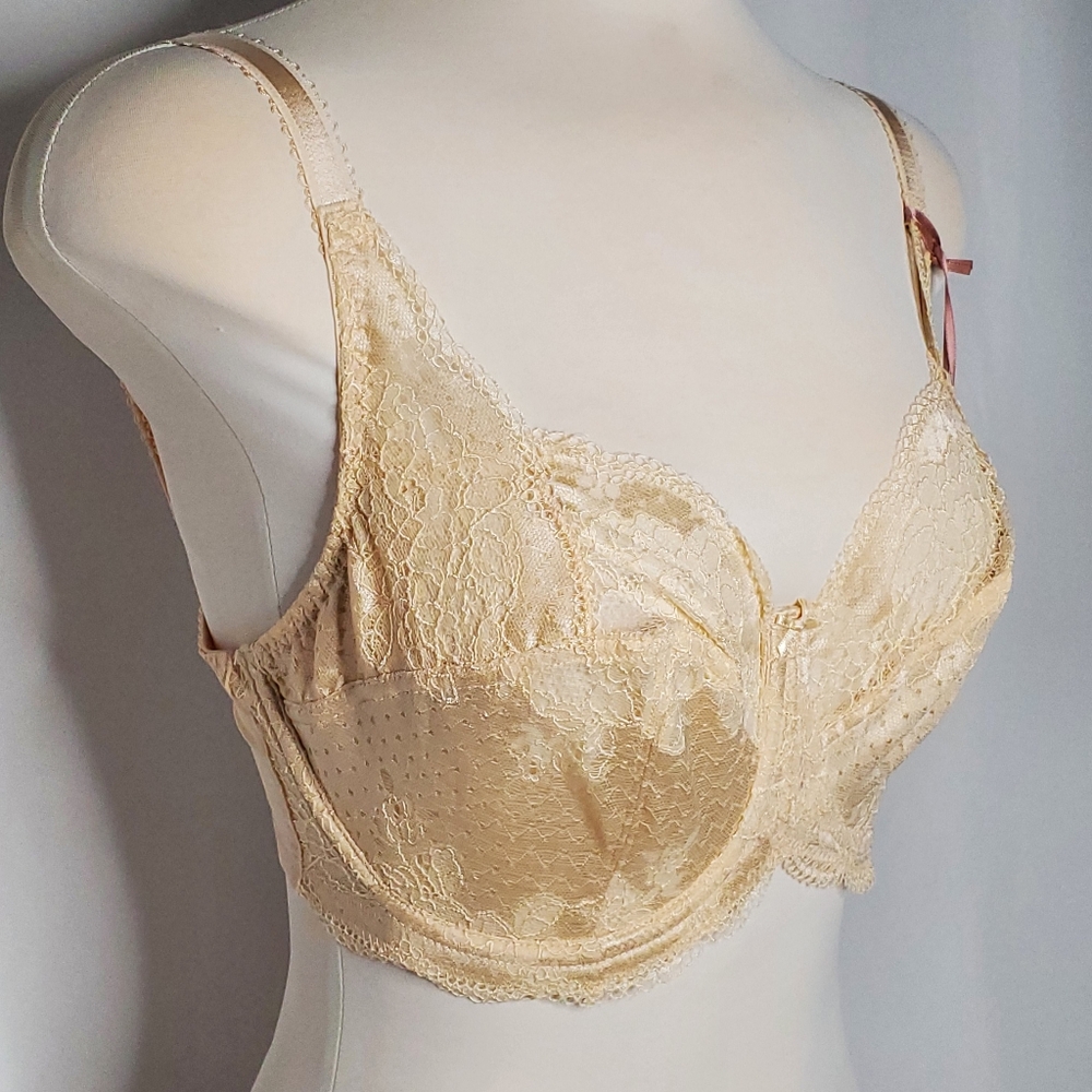Panache Women's Clara Lace Full Cup Bra